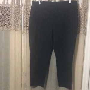 Express Plus Ponte Pant